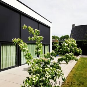 Fixscreen grote ramen